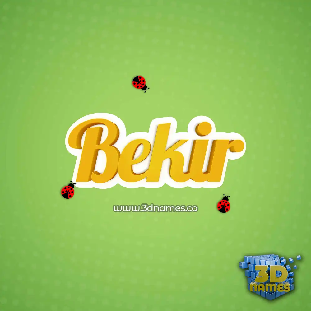 bekir in Ladybugs style - 3D name wallpaper