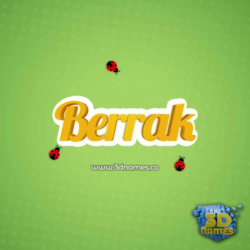 berrak in Ladybugs style - 3D name wallpaper
