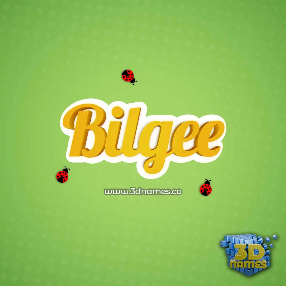 bilgee in Ladybugs style - 3D name wallpaper
