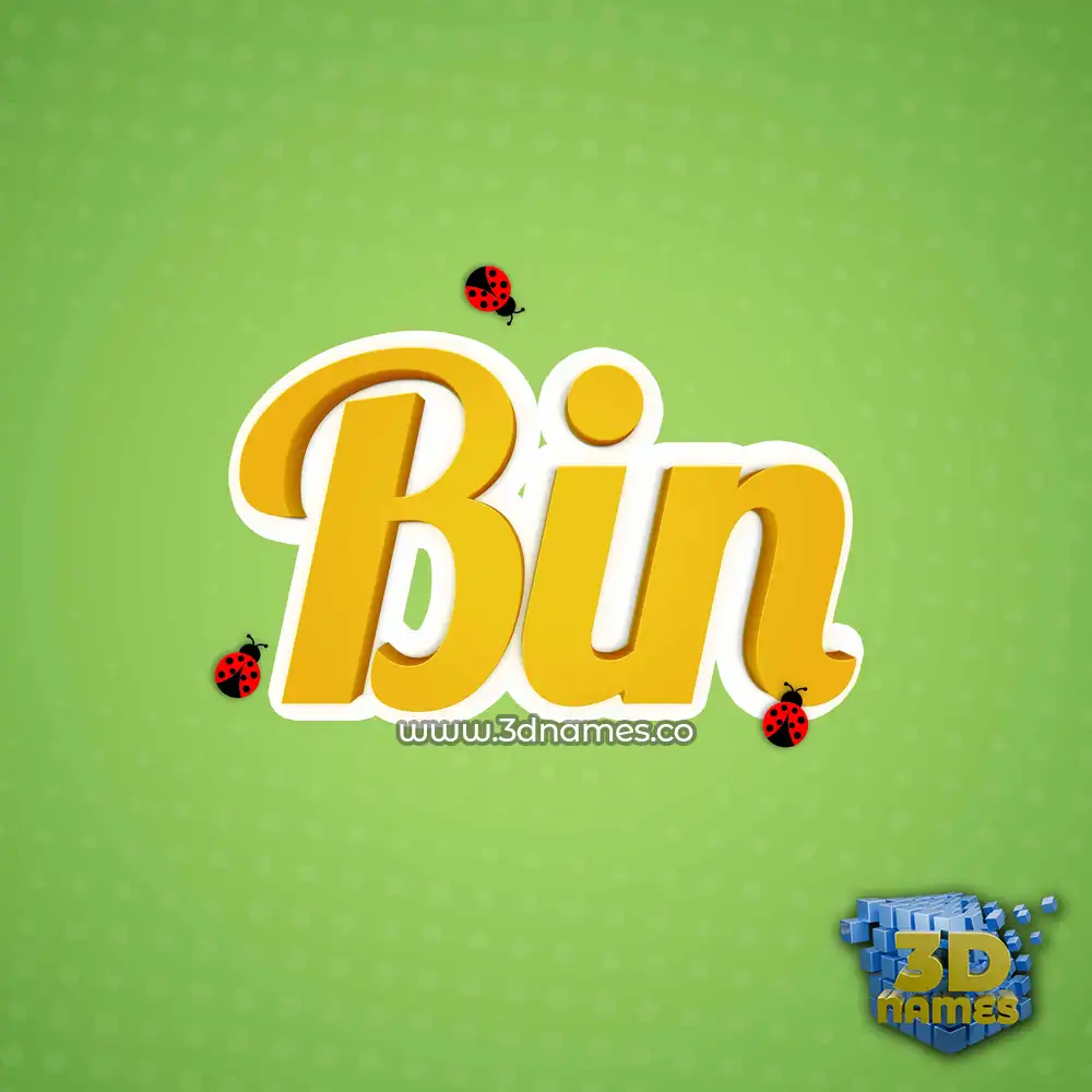 bin in Ladybugs style - 3D name wallpaper