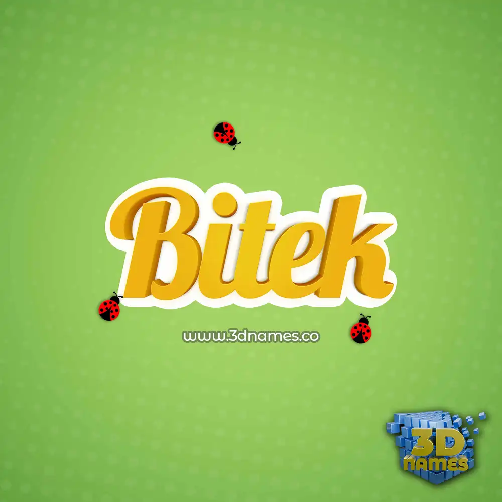 bitek in Ladybugs style - 3D name wallpaper
