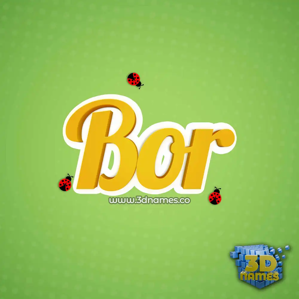 bor in Ladybugs style - 3D name wallpaper