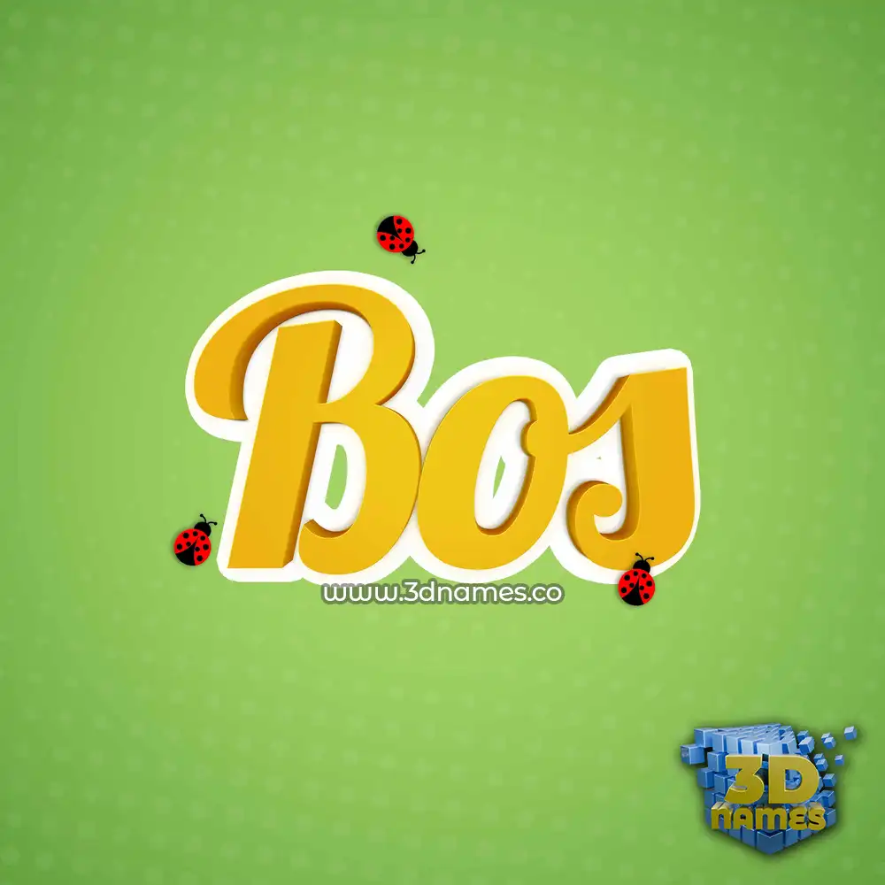 bos in Ladybugs style - 3D name wallpaper