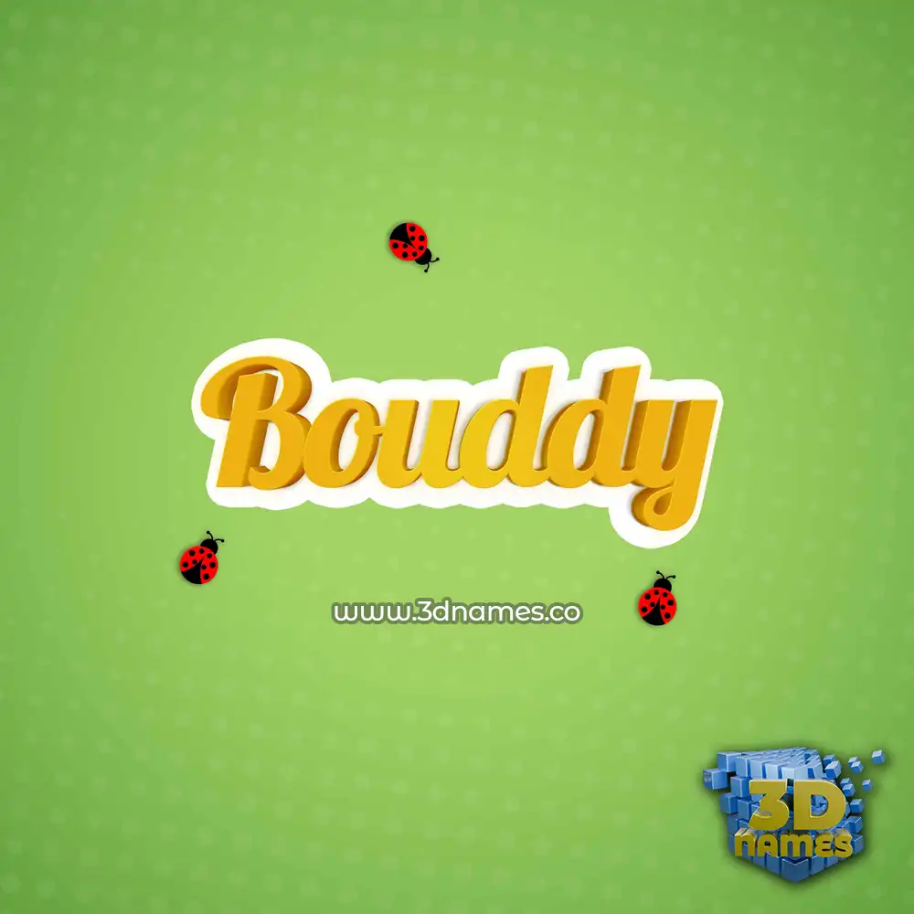 bouddy in Ladybugs style - 3D name wallpaper