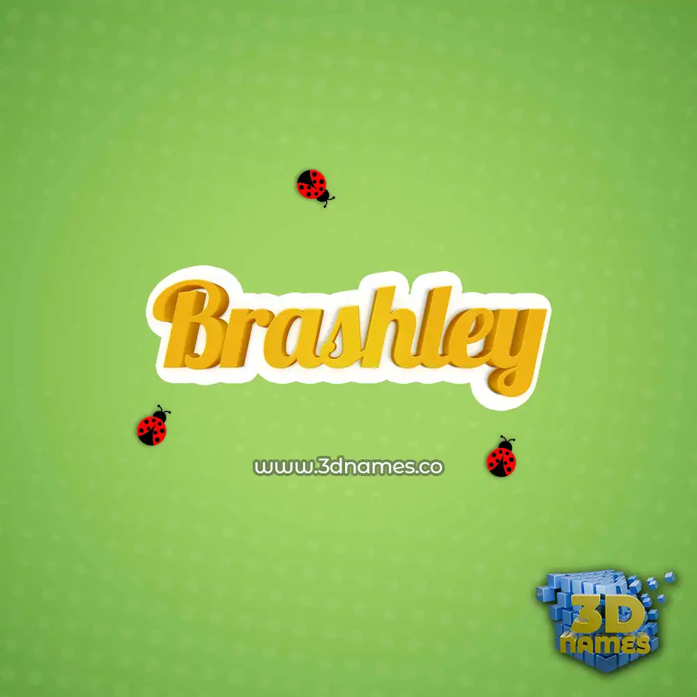 brashley in Ladybugs style - 3D name wallpaper