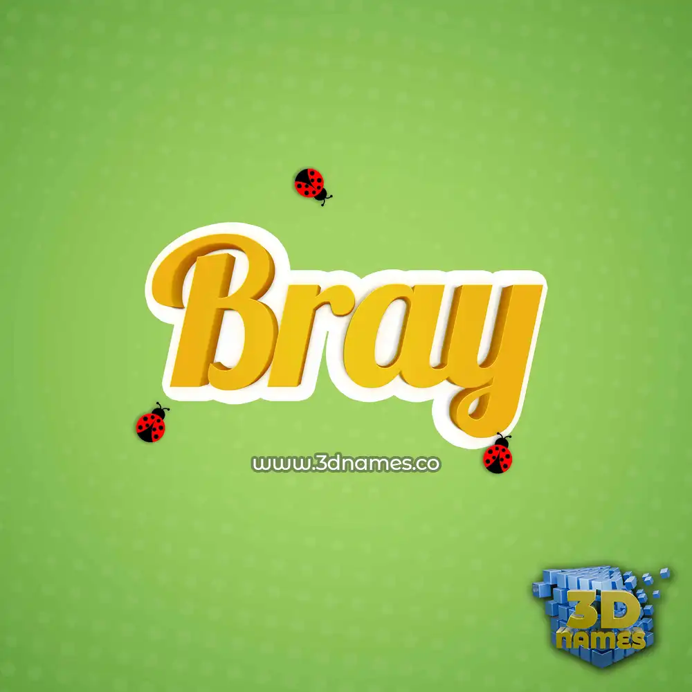 bray in Ladybugs style - 3D name wallpaper