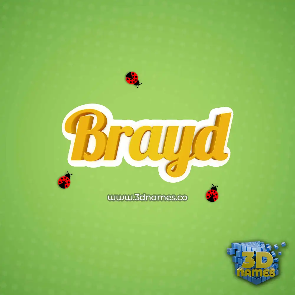 brayd in Ladybugs style - 3D name wallpaper
