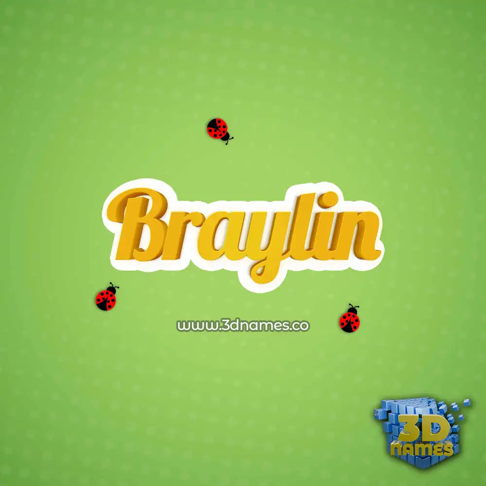 braylin in Ladybugs style - 3D name wallpaper
