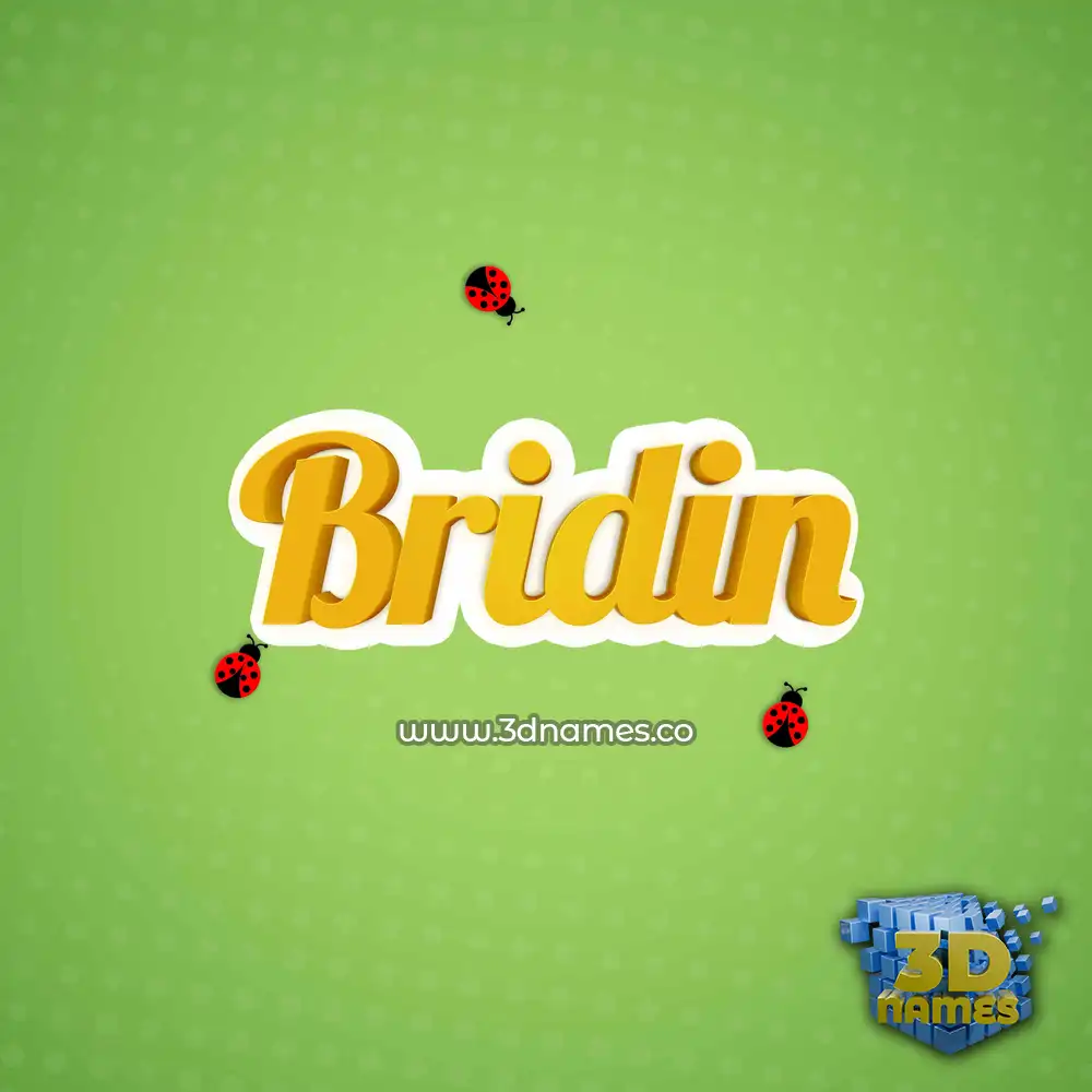 bridin in Ladybugs style - 3D name wallpaper