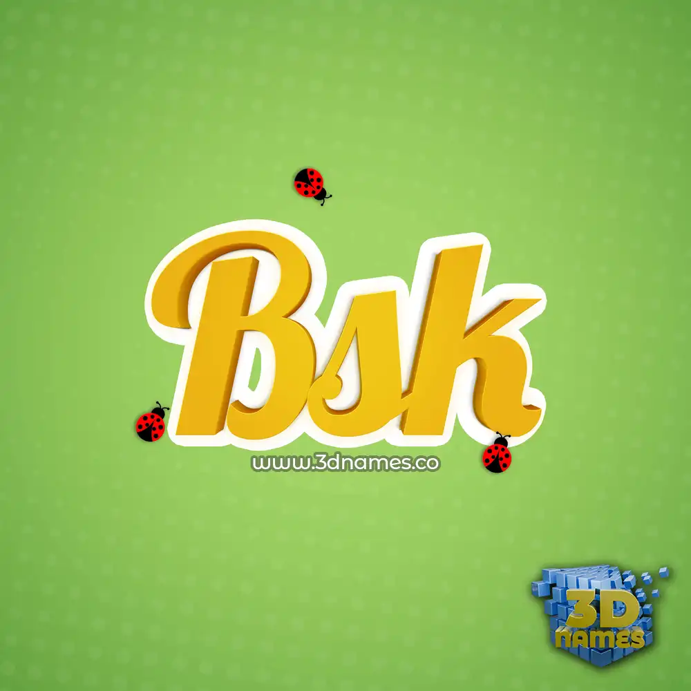 bsk in Ladybugs style - 3D name wallpaper