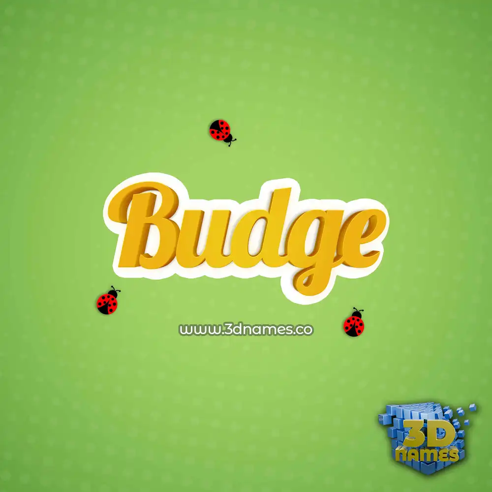 budge in Ladybugs style - 3D name wallpaper