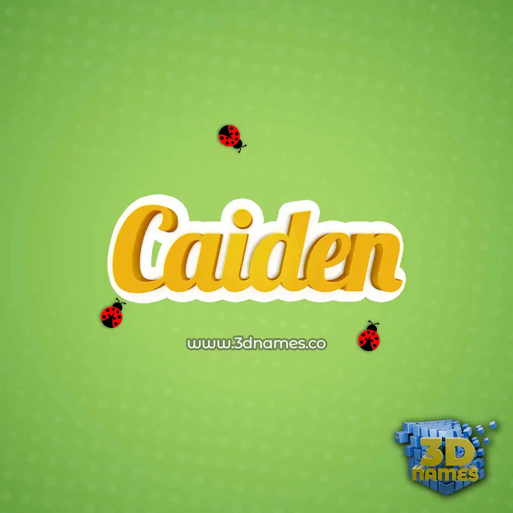 caiden in Ladybugs style - 3D name wallpaper