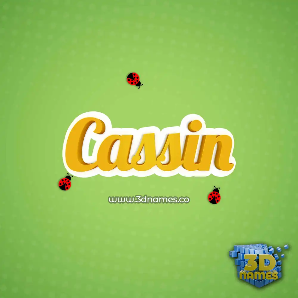 cassin in Ladybugs style - 3D name wallpaper