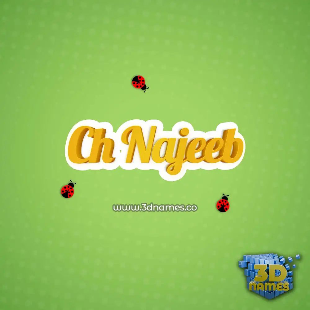 ch najeeb in Ladybugs style - 3D name wallpaper
