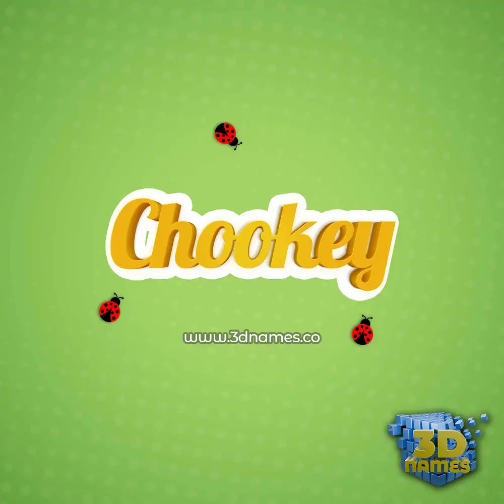 chookey in Ladybugs style - 3D name wallpaper