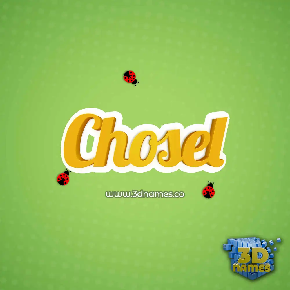 chosel in Ladybugs style - 3D name wallpaper