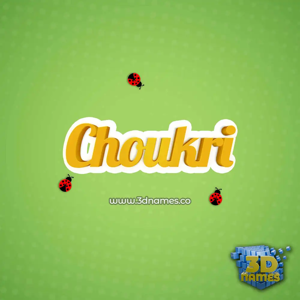 choukri in Ladybugs style - 3D name wallpaper