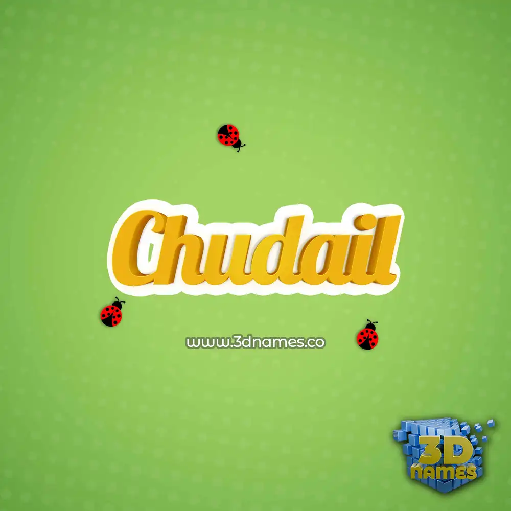 chudail in Ladybugs style - 3D name wallpaper