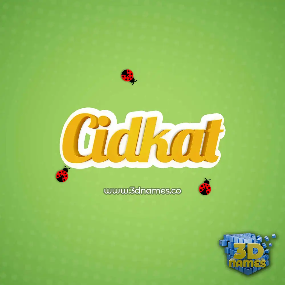 cidkat in Ladybugs style - 3D name wallpaper