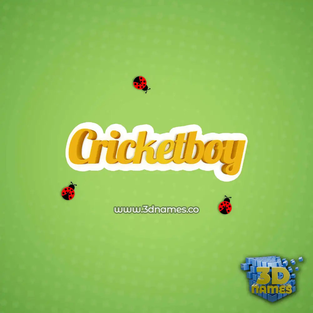 cricketboy in Ladybugs style - 3D name wallpaper