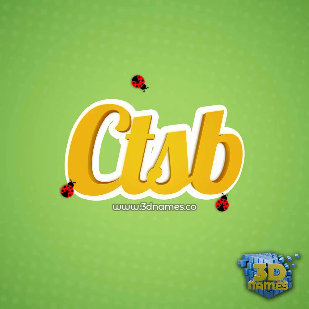 ctsb in Ladybugs style - 3D name wallpaper