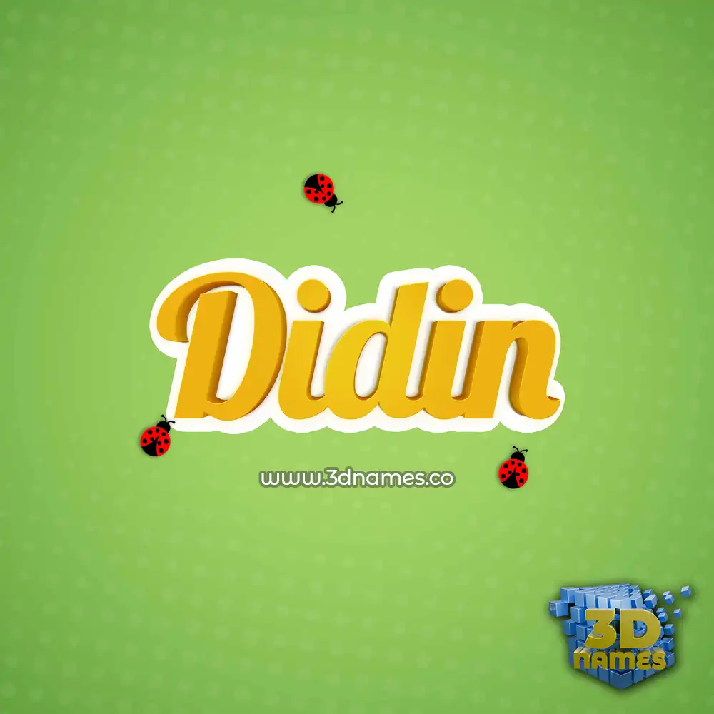 didin in Ladybugs style - 3D name wallpaper