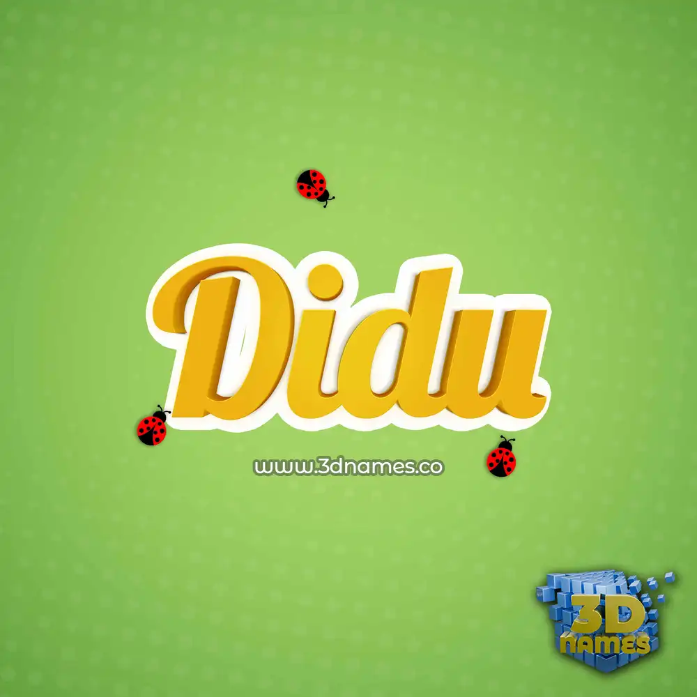 didu in Ladybugs style - 3D name wallpaper