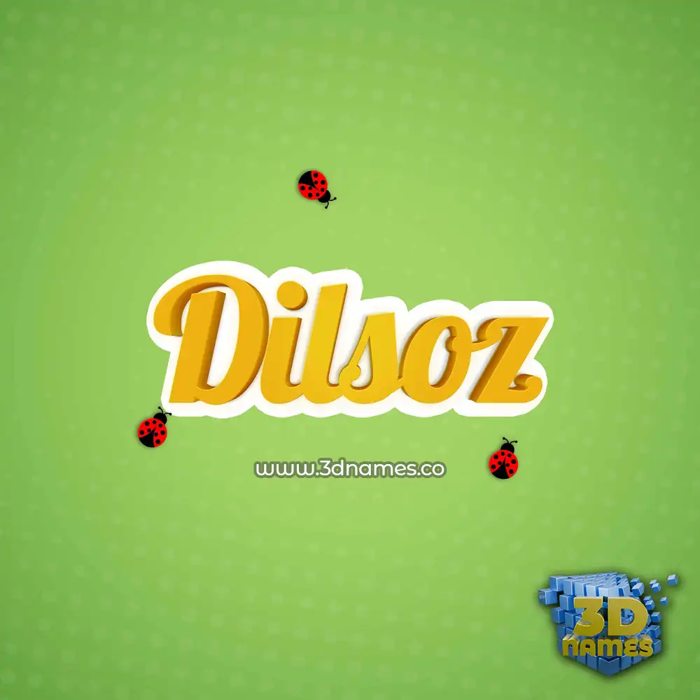 dilsoz in Ladybugs style - 3D name wallpaper