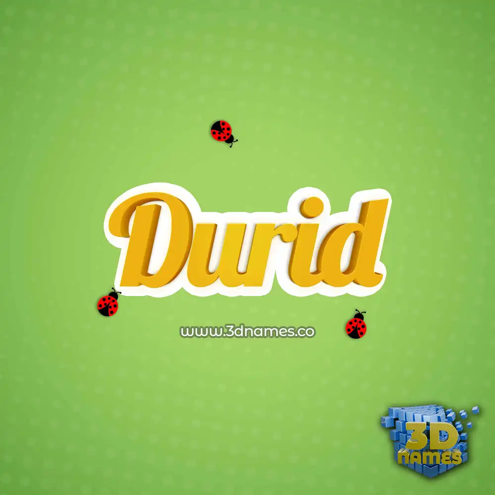 durid in Ladybugs style - 3D name wallpaper