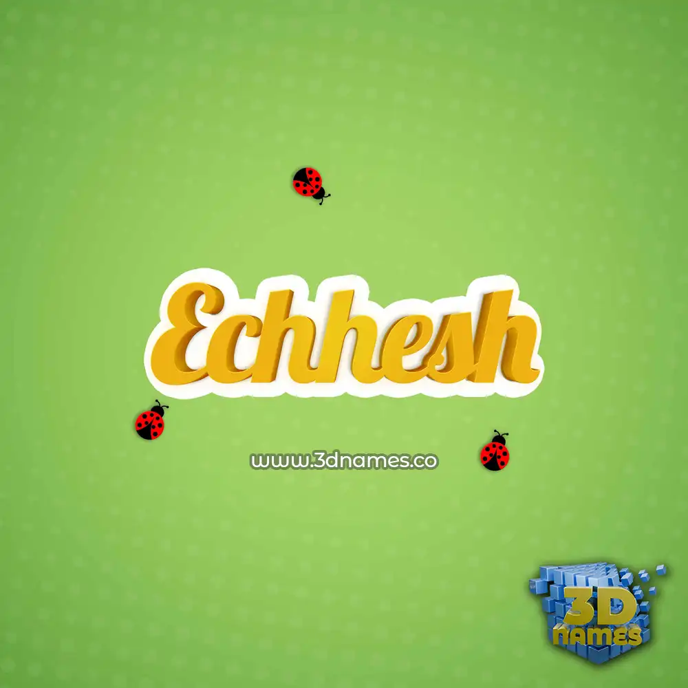 echhesh in Ladybugs style - 3D name wallpaper