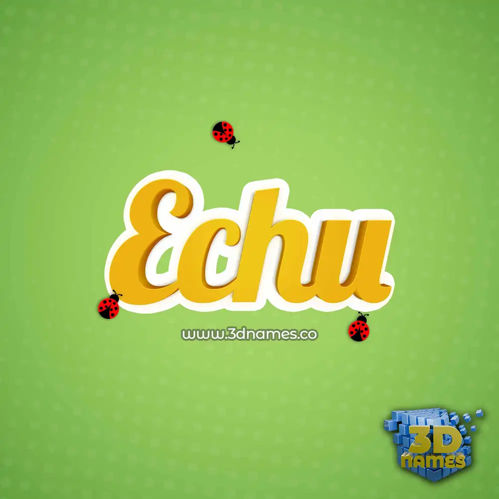echu in Ladybugs style - 3D name wallpaper