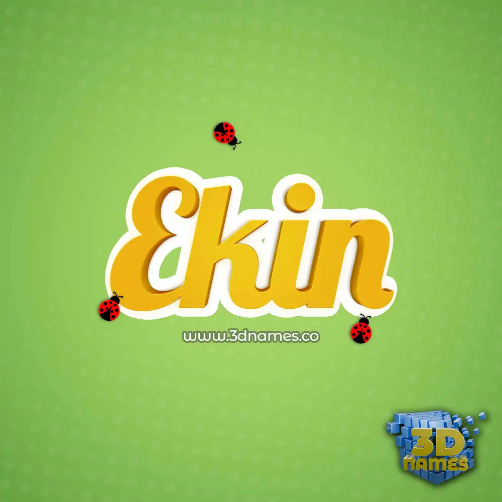 ekin in Ladybugs style - 3D name wallpaper