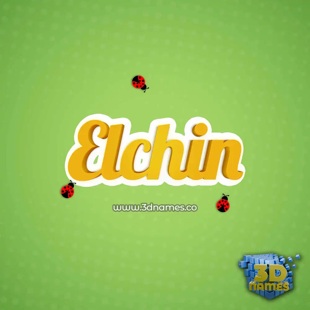 elchin in Ladybugs style - 3D name wallpaper