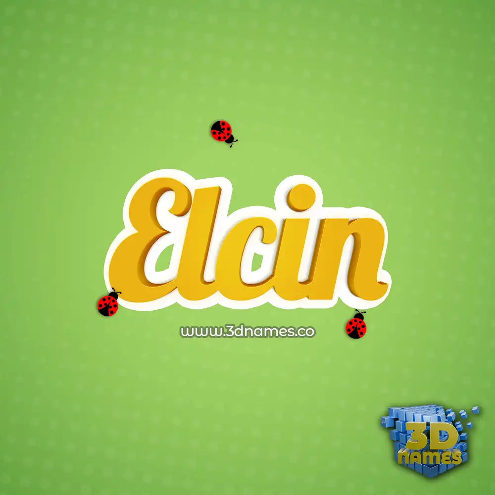 elcin in Ladybugs style - 3D name wallpaper