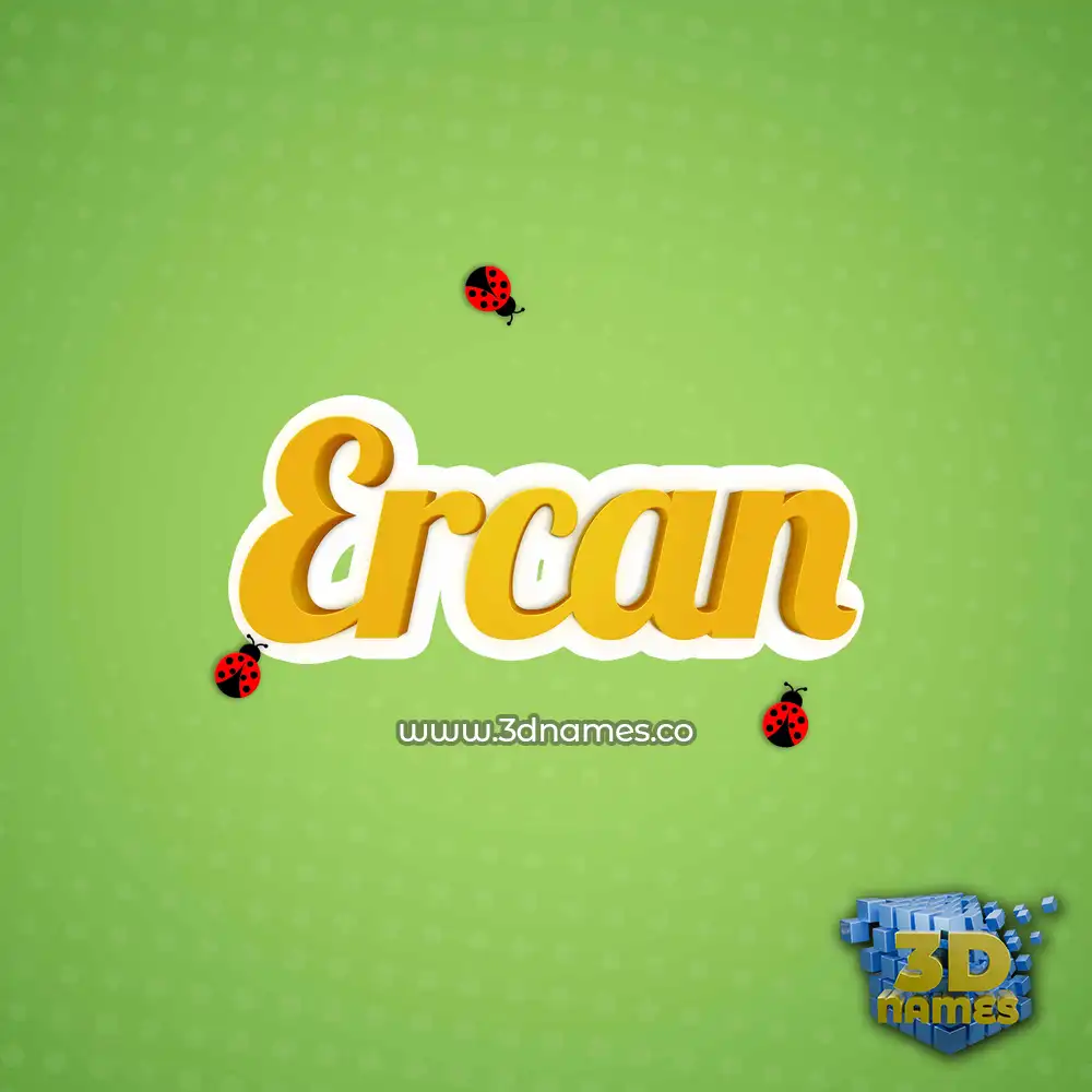 ercan in Ladybugs style - 3D name wallpaper