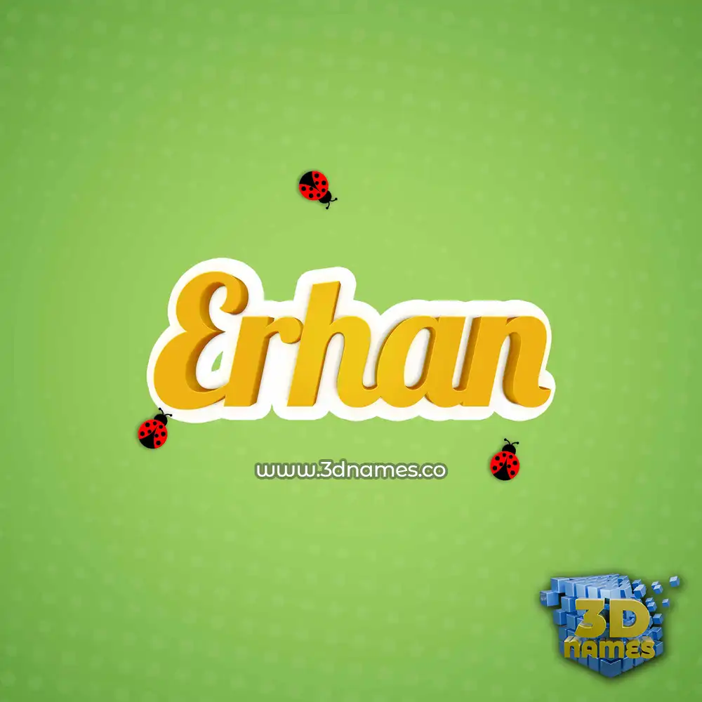 erhan in Ladybugs style - 3D name wallpaper