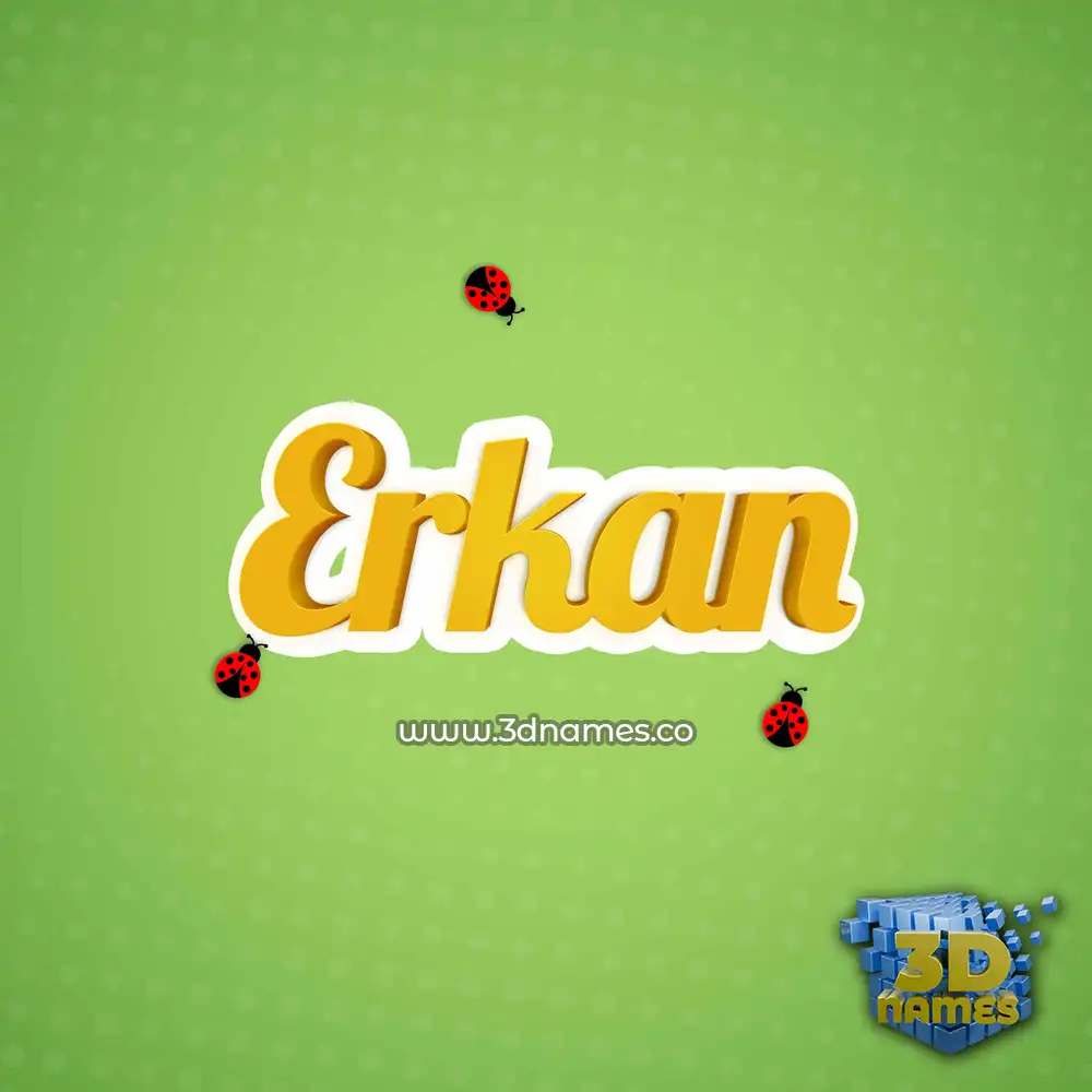 erkan in Ladybugs style - 3D name wallpaper
