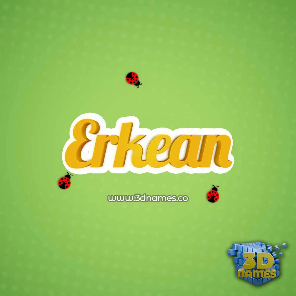 erkean in Ladybugs style - 3D name wallpaper