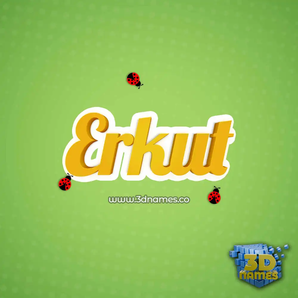 erkut in Ladybugs style - 3D name wallpaper