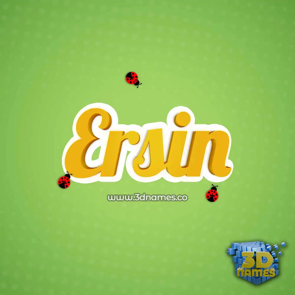 ersin in Ladybugs style - 3D name wallpaper