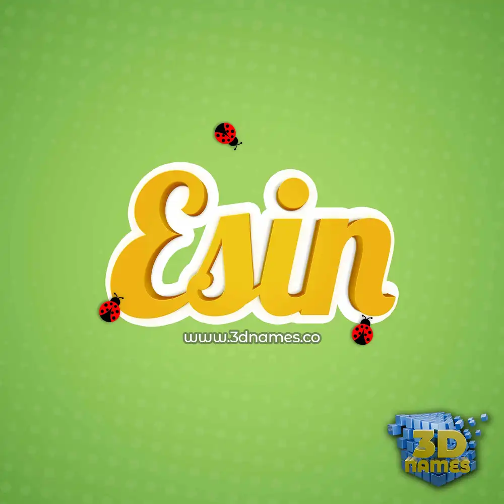 esin in Ladybugs style - 3D name wallpaper