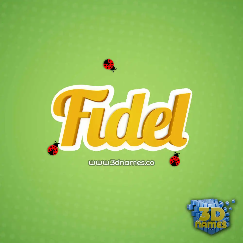 fidel in Ladybugs style - 3D name wallpaper