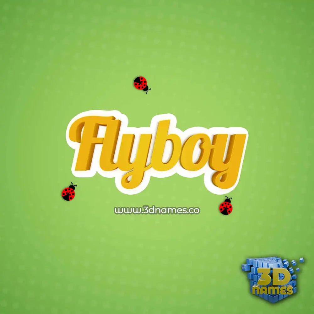 flyboy in Ladybugs style - 3D name wallpaper