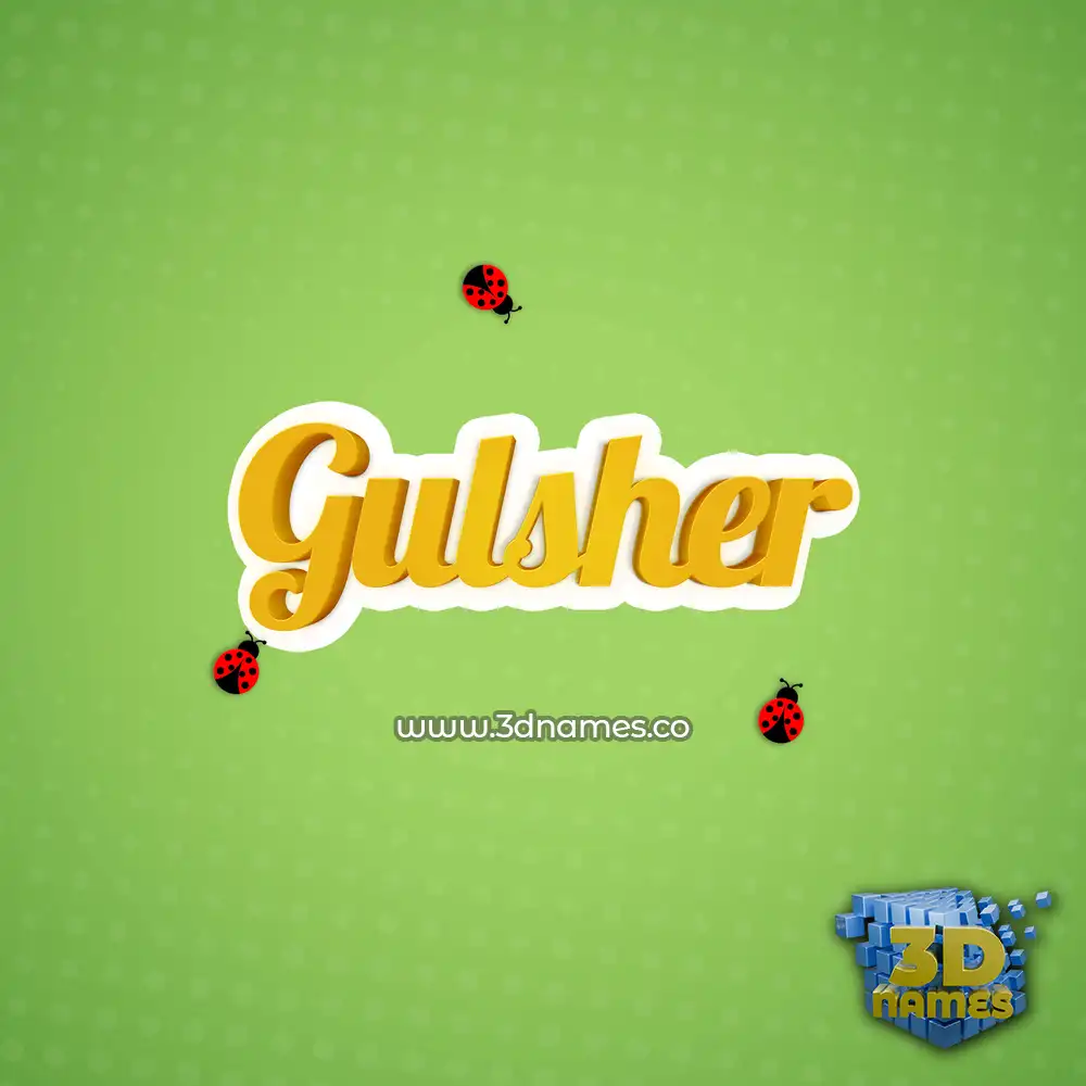 gulsher in Ladybugs style - 3D name wallpaper