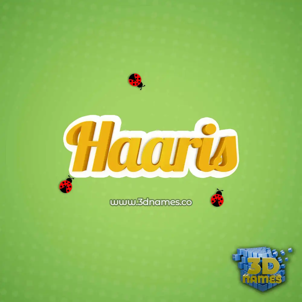 haaris in Ladybugs style - 3D name wallpaper