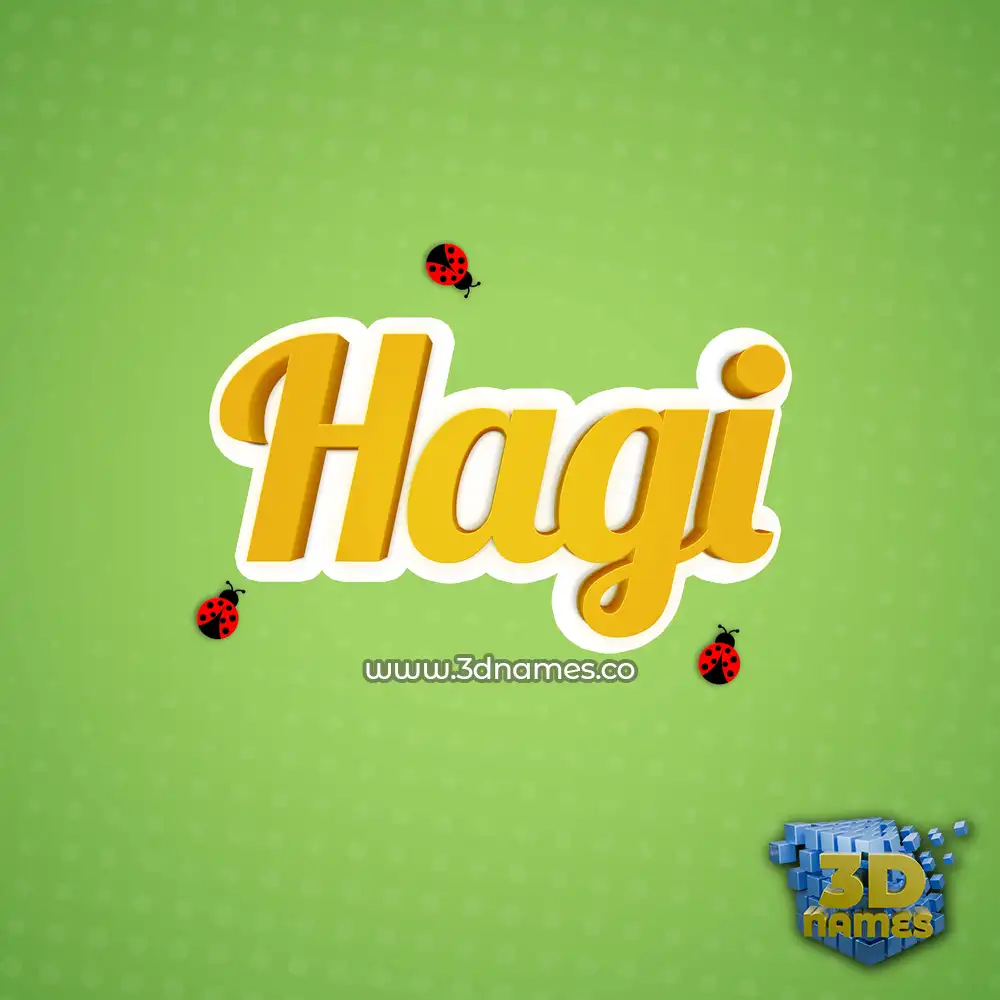 hagi in Ladybugs style - 3D name wallpaper