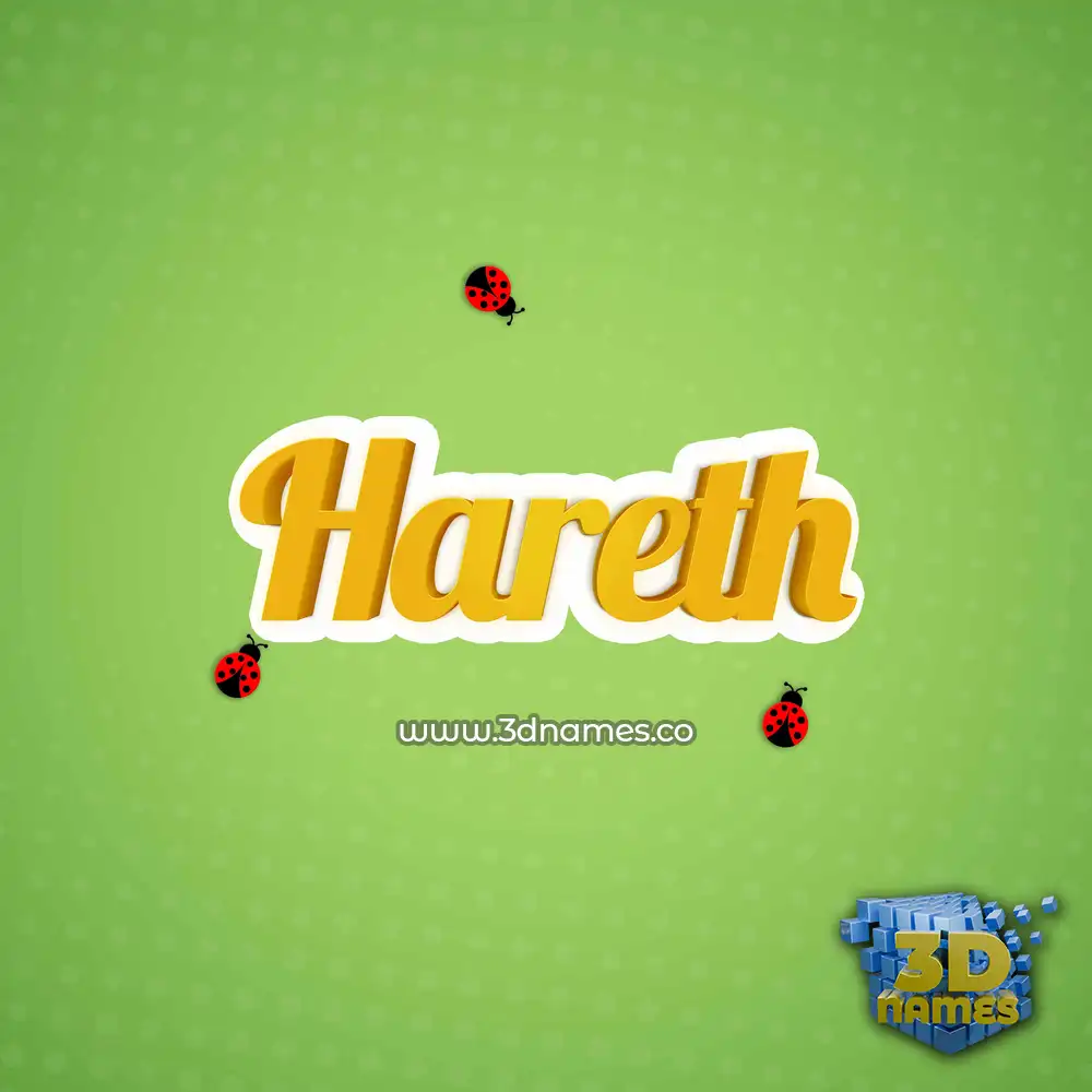 hareth in Ladybugs style - 3D name wallpaper