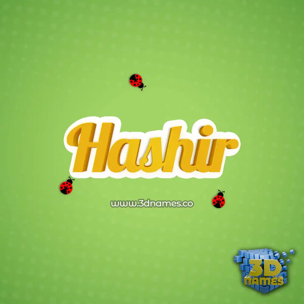 hashir in Ladybugs style - 3D name wallpaper