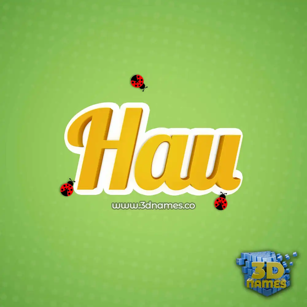 hau in Ladybugs style - 3D name wallpaper