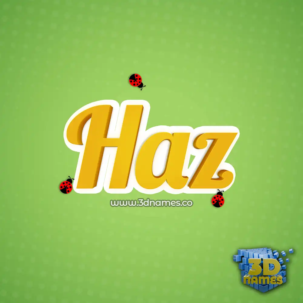 haz in Ladybugs style - 3D name wallpaper